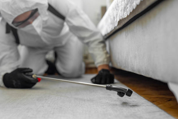 Professional Pest Control technician working in Douglas, MI
