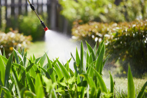 24/7 Emergency Pest Control experts in Douglas, MI